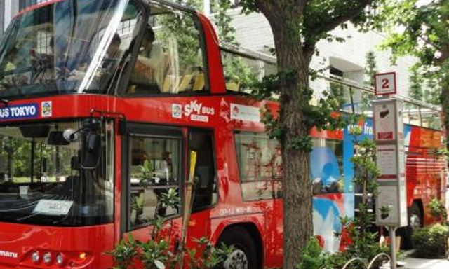Vé SkyHop Tokyo Hop-on, Hop-off và vé vào cửa Tokyo Disneyland